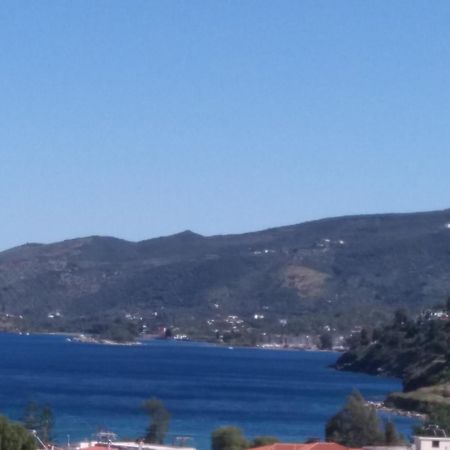 Forest & Sea Apartment Poros Town Eksteriør billede
