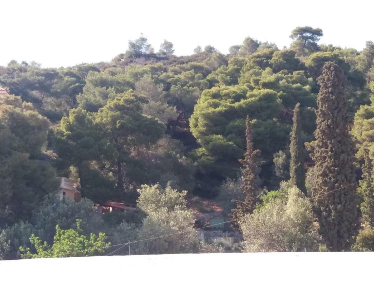 Forest & Sea Apartment Poros Town Eksteriør billede