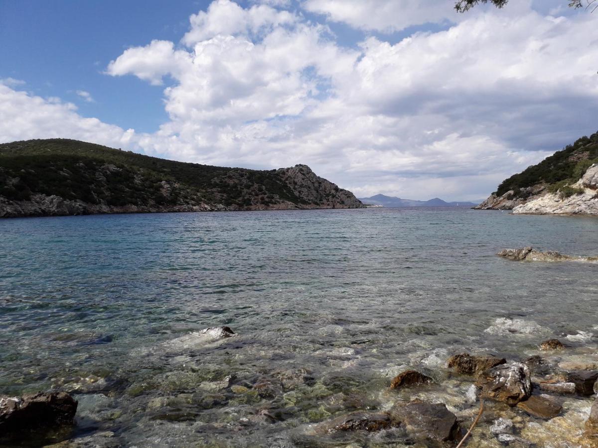 Forest & Sea Apartment Poros Town Eksteriør billede